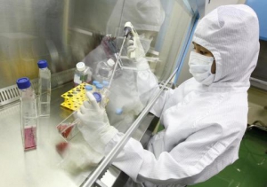 В Украине ожидается новый штамм вируса гриппа