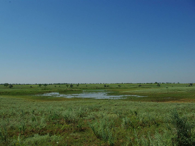 В Одесской области появится ещё один национальный природный парк