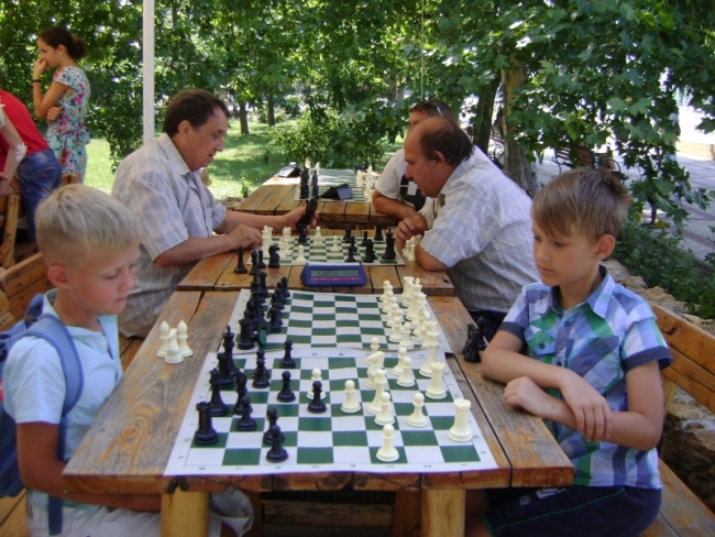В шахматы играли, Дунай созерцали...