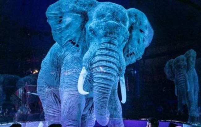Немецкий цирк отказался от дрессированных животных – их заменили голограммы