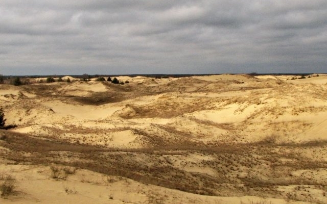 Метеоролог назвал обстоятельства, при которых Одесская и Херсонская области могут стать пустыней
