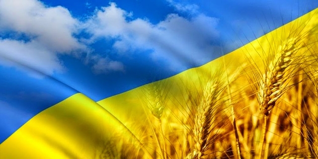 Украинская пшеница стала неконкурентной на ключевом рынке. Названы причины