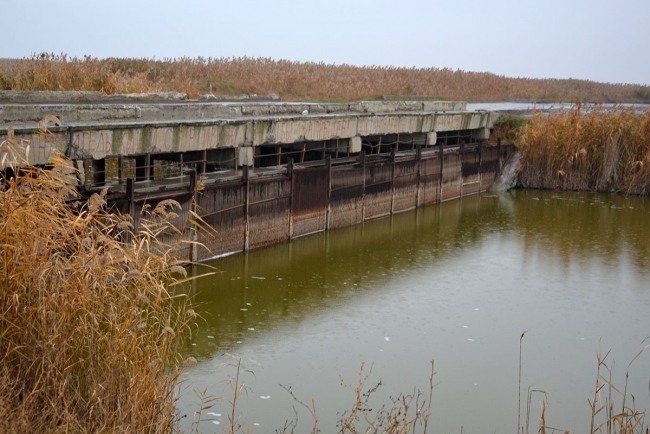 Региональные чиновники «жуют» воду Придунайских озёр