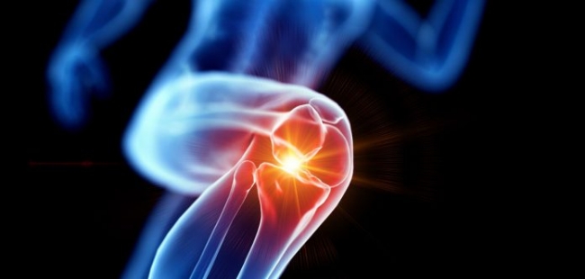 Ученые создали гидрогель, который сможет заменить хрящ в коленном суставе