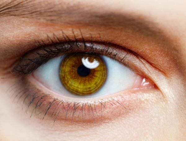 Швейцарские ученые изобрели имплантат сетчатки глаза, который позволит слепым видеть