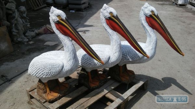 В дельте Дуная экологи "разводят" новый вид пеликанов - искусственный