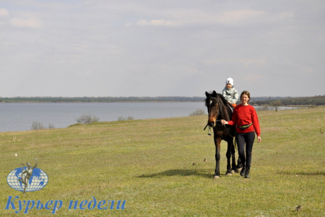 В Измаильском районе семья из Мелитополя создаёт конный клуб