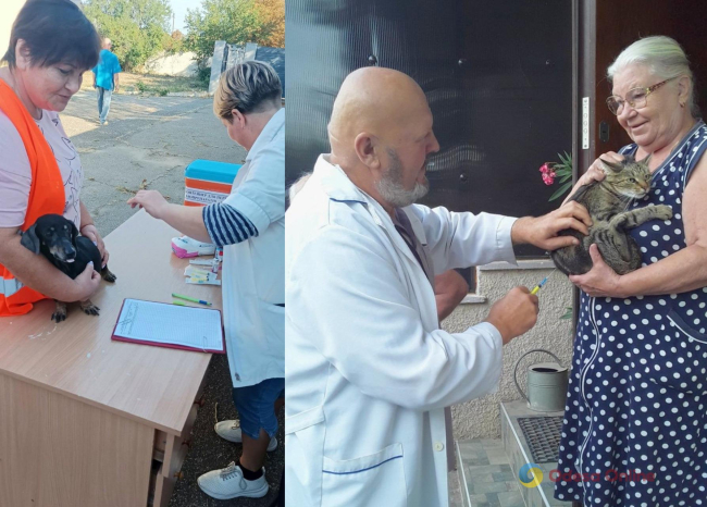 На Одещині безкоштовно вакцинують тварин від сказу
