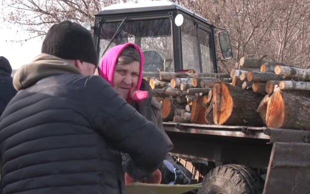 Холода ще попереду: як українцям одержати субсидію на дрова, інструкція