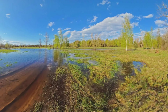 2 лютого у світі відзначають День водно-болотних угідь: 9 важливих аспектів їх існування на планеті