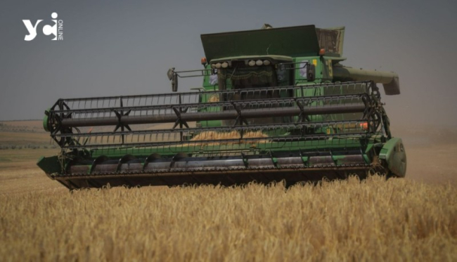 На Одещині збільшать посівні площі зернових та овочевих культур