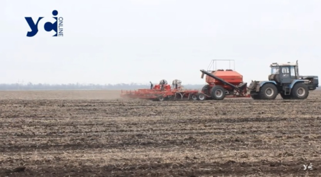 Весняна посівна на Одещині: достатньо насіння, але посуха створює проблеми