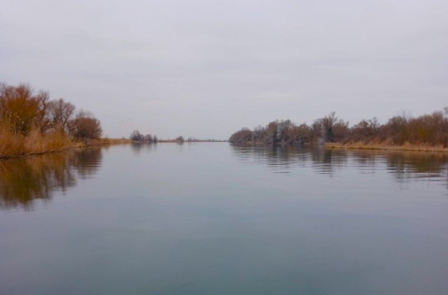Весняний нерест риб в озерах Дністра на Одещині під загрозою: в чому причина